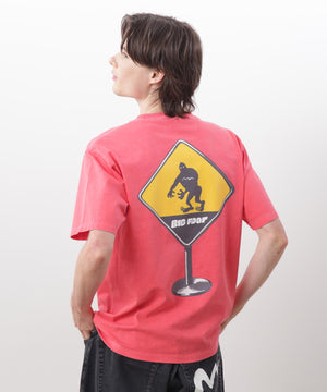 fdc76c75-f3dc-59e8-b2da-cf6765f2a3fb_Image