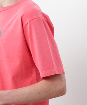 ffdf9455-b343-5209-b0e0-dbb33c28daf2_Image