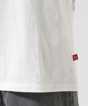 68865264-7f9c-5557-8d7d-cd3034b2985f_Image