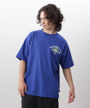 2e4bd101-12c9-555c-9ed2-0e48cd6efd00_Image