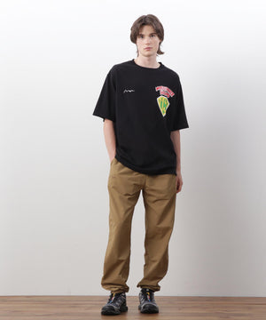 3aa34920-234a-521c-bbe6-cb16924ff811_Image