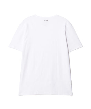 2510b7a1-6154-57b2-9e6c-2dcf6bad4238_Image