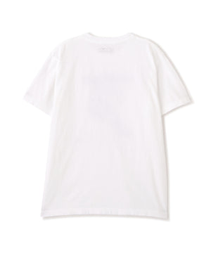 0b6289b2-78c9-5e4b-959e-fb1e6f034cf1_Image