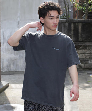 0cee0ad8-8859-5f8a-900f-7e8d65df4de4_Image