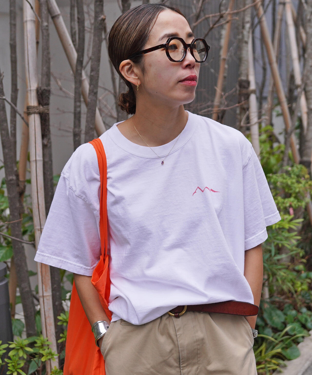 aaf756a5-e78d-5246-8a44-94c8ca3f2fed_Image