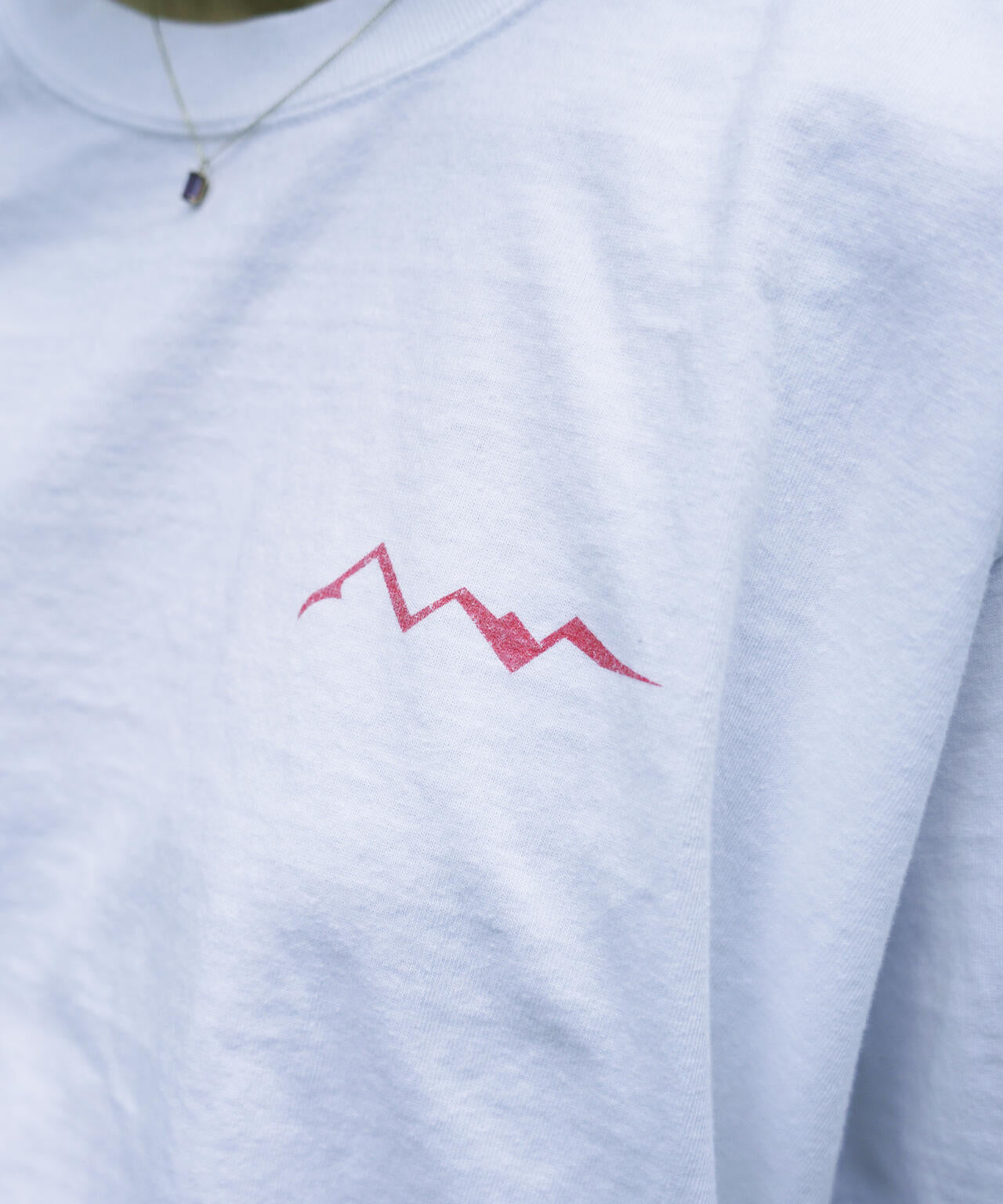 3b91cc43-2cfa-52a7-9ed0-0352d0a9f09d_Image