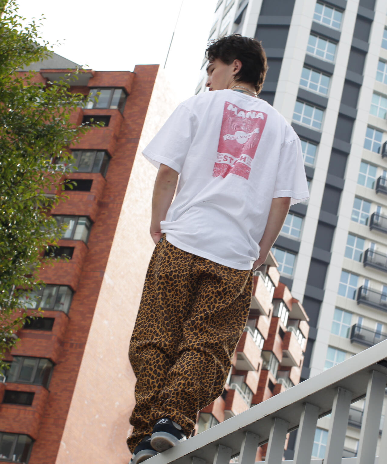 cab18be7-cf95-57e1-9d8b-cee574fb93f8_Image