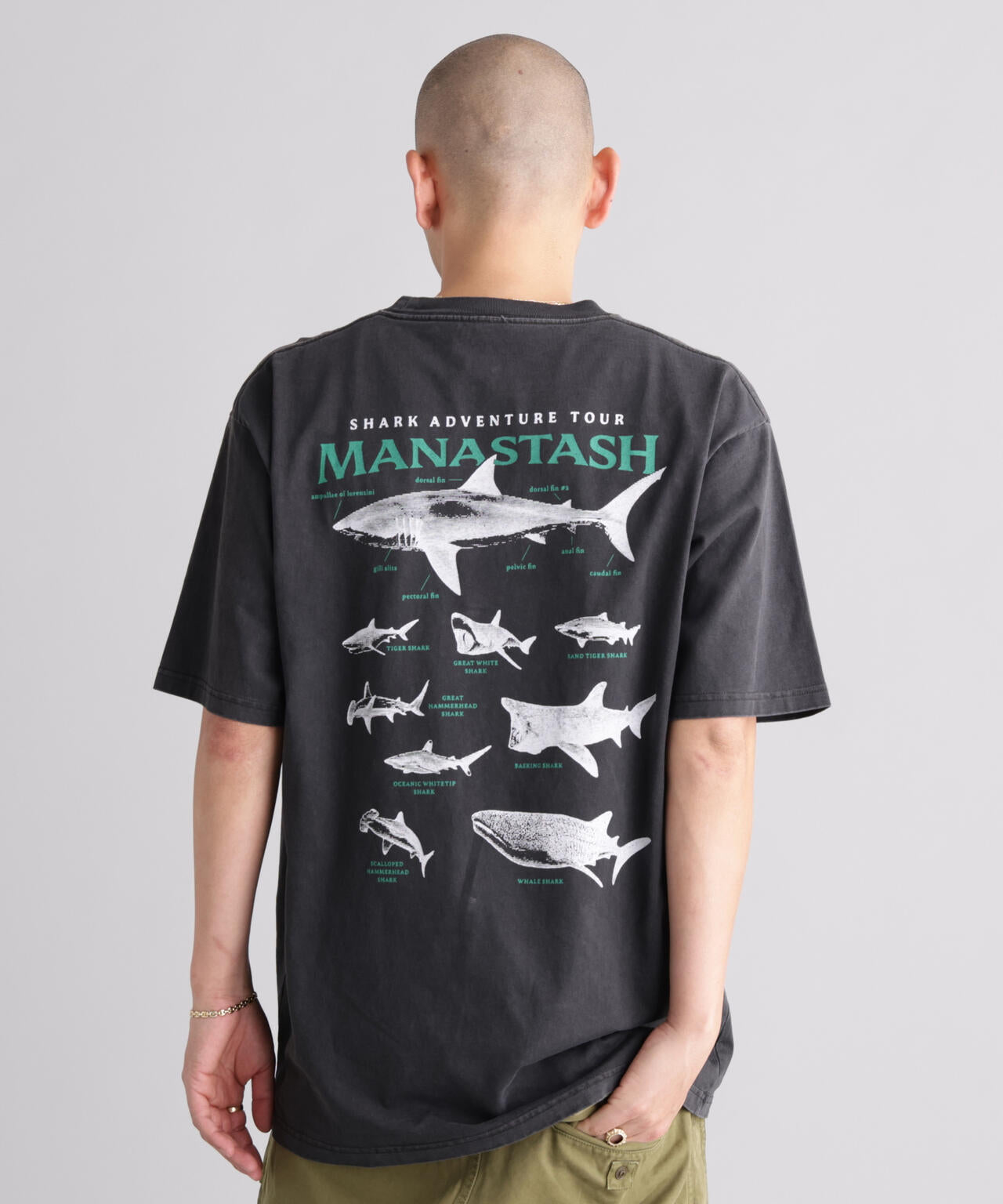 MANASTASH/マナスタッシュ/PUMICE TEE SHARK | MANASTASH（マナ