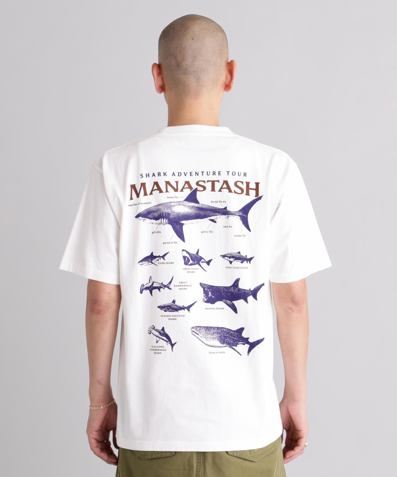 MANASTASH/マナスタッシュ/PUMICE TEE SHARK | MANASTASH（マナ