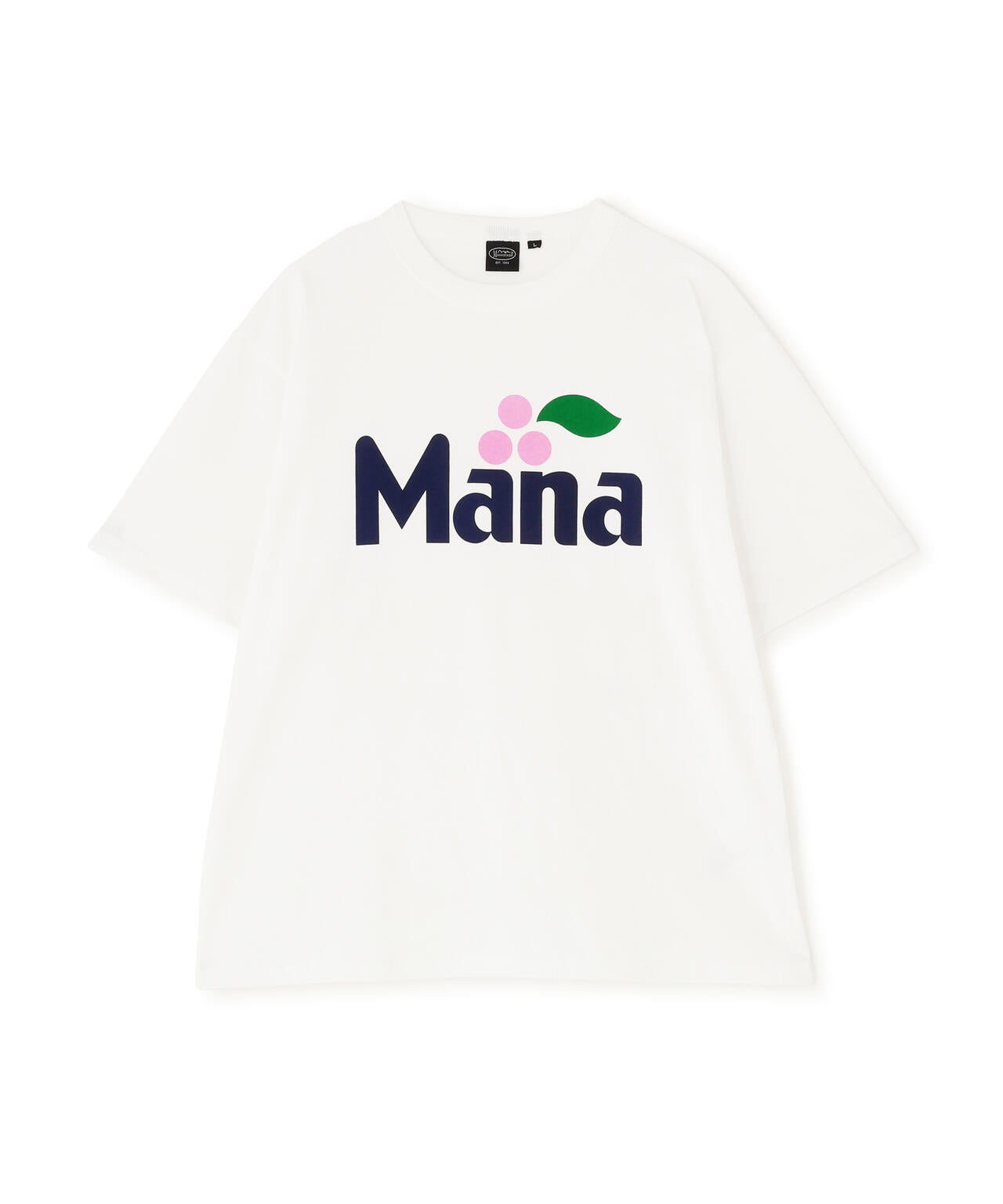 manaさん専用 MANASTASH/マナスタッシュ/MANA TEE | MANASTASH（マナスタッシュ