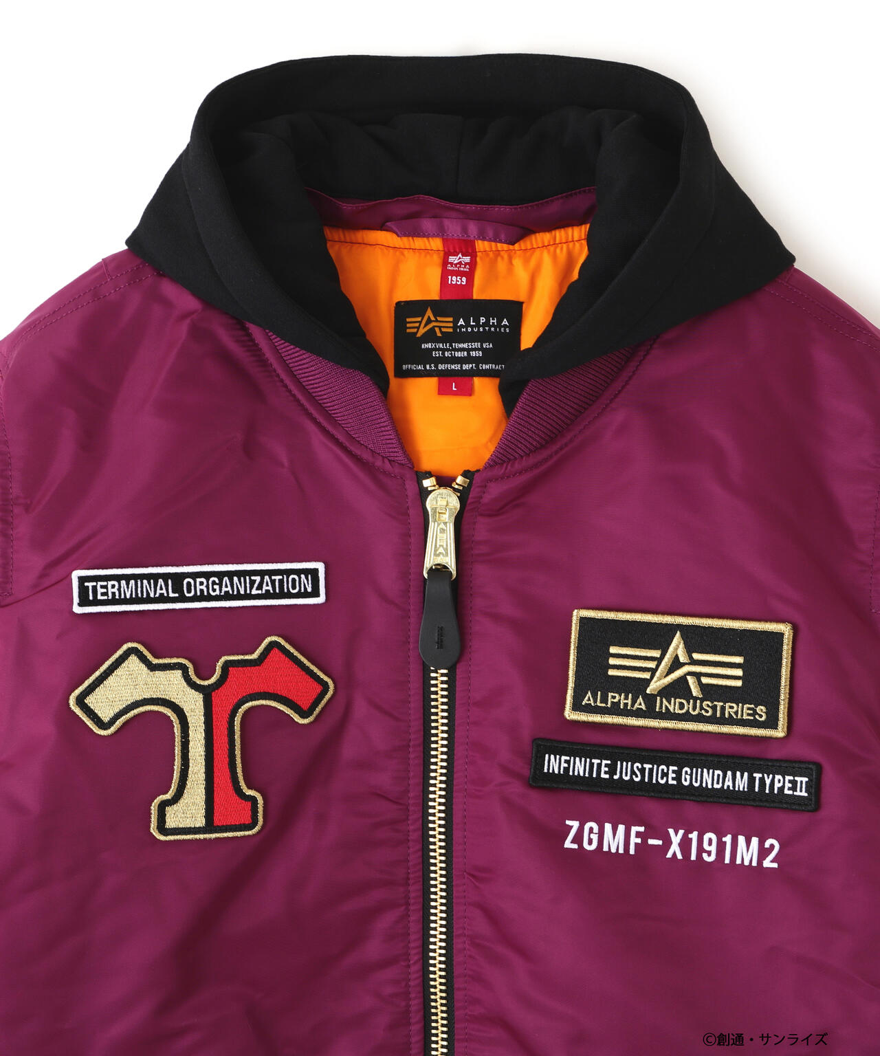 STRICT-G ALPHA『機動戦士ガンダム SEED FREEDOM』MA-1 NATUS アスラン