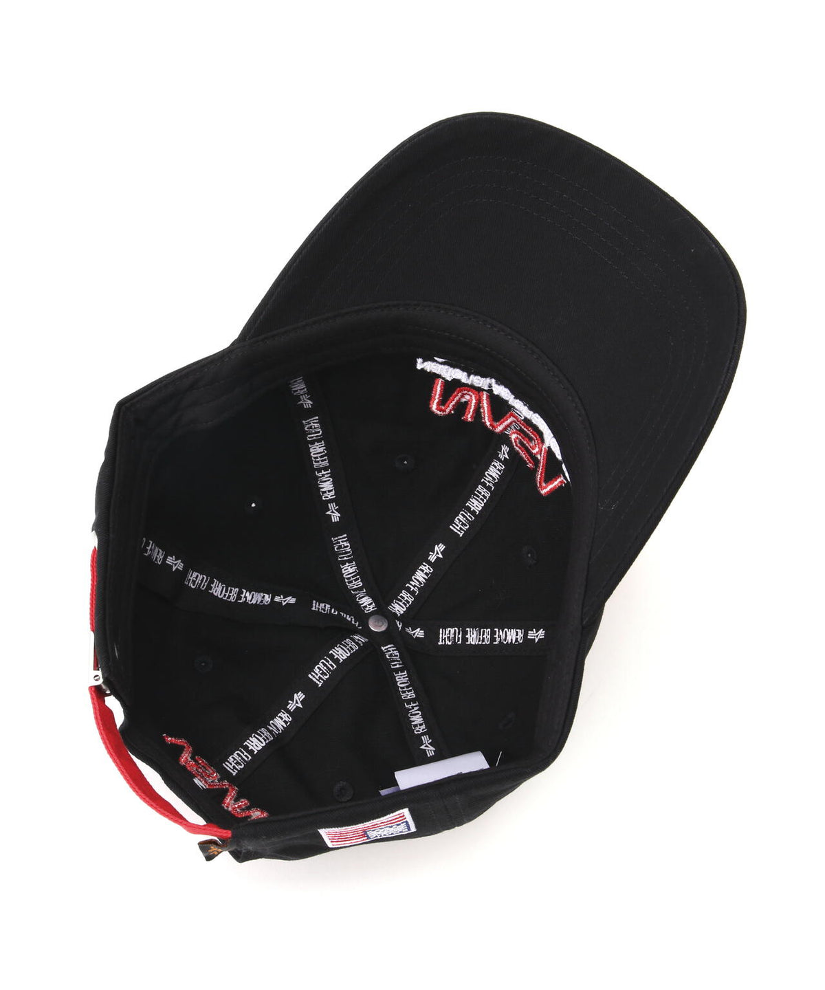 NASA WORM LOGO CAP