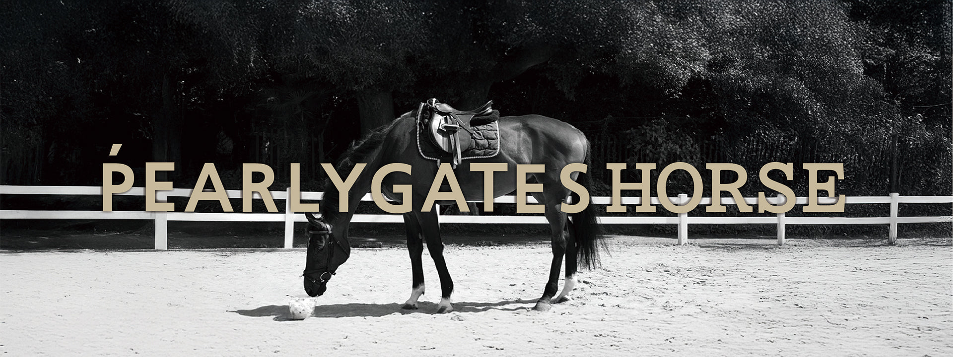 新品★69,300円 パーリーゲイツ スカート＆パーカー セットアップ 1（M） パーリーゲイツ PPGパーカー&スカートセットアップ⭐